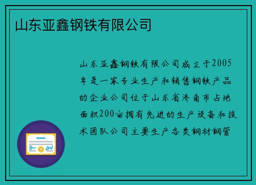 山东亚鑫钢铁有限公司